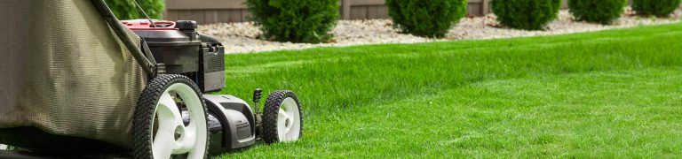 כלי גינון מקצועיים ומערכות השקיה חכמות בגינה מעוצבת - עמיר בעיר.